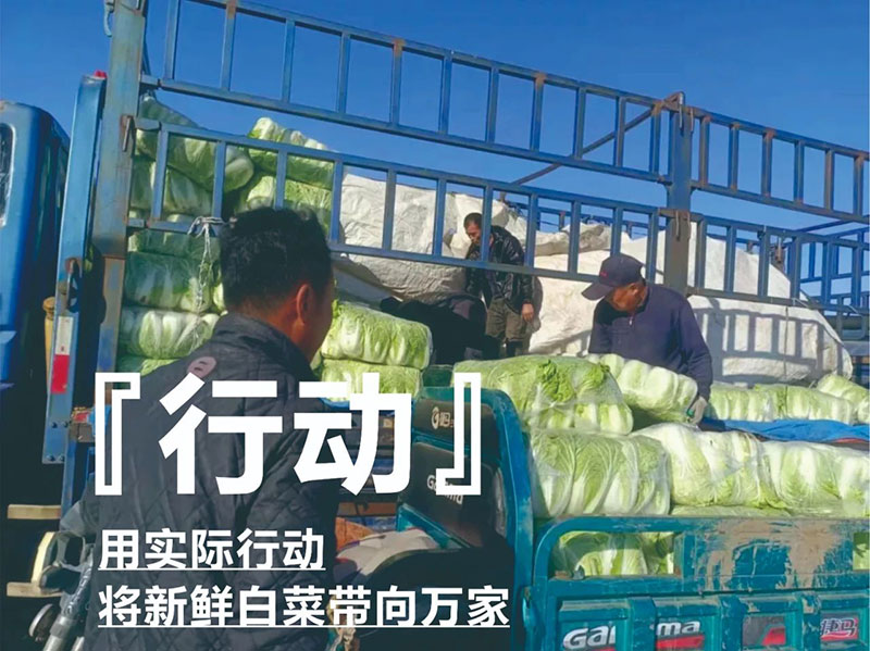 爱心助农，，，，，，，华纳娱乐在行动