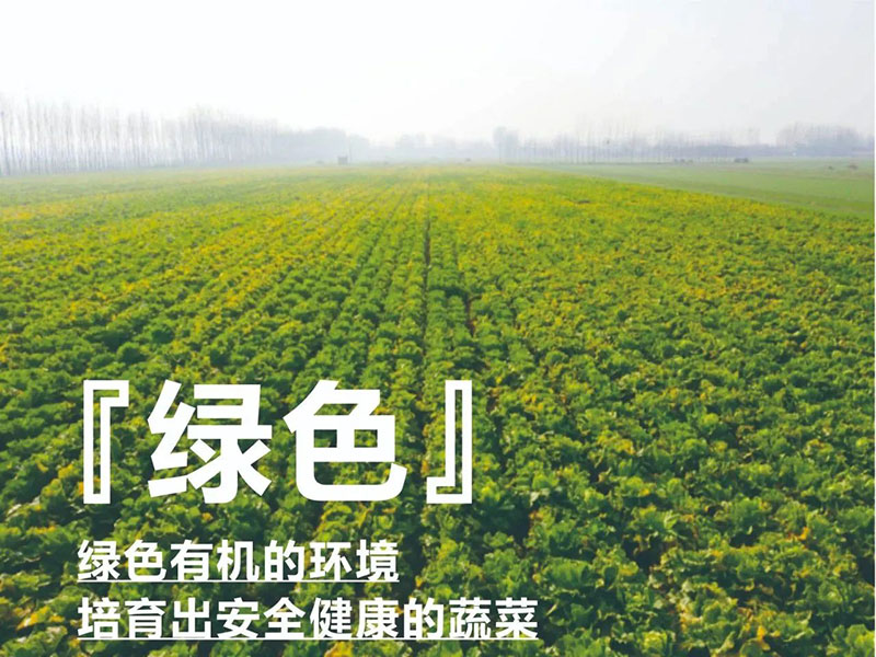 爱心助农，，，，，，，华纳娱乐在行动