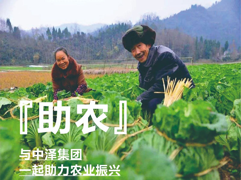 ?爱心助农，，，，，，华纳娱乐在行动